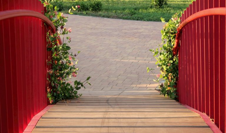 Sizing a Backyard Pavilion for Dining, Lounging, or Both